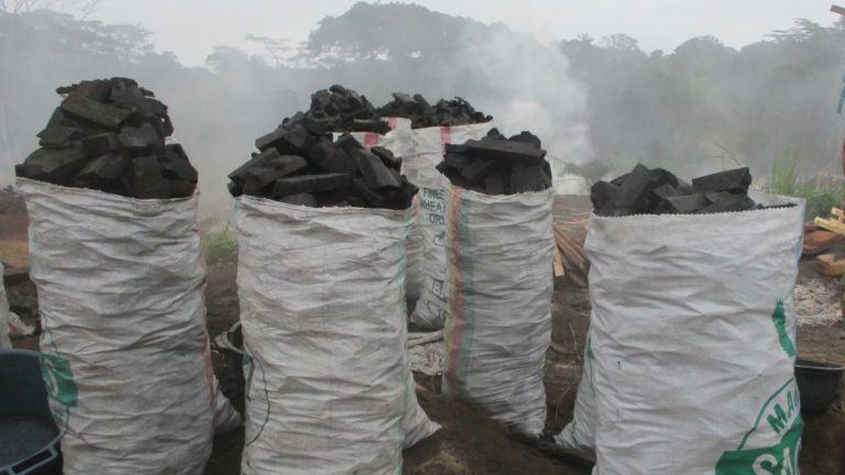 Charbon de Bois BENI nord kivu