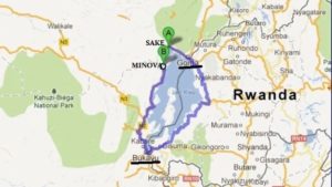 goma m23 sake-minova