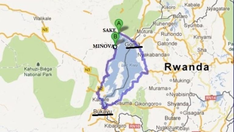 goma m23 sake-minova