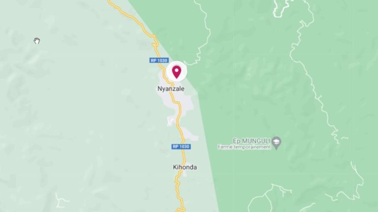 Nyanzale Nord Kivu Rutshuru