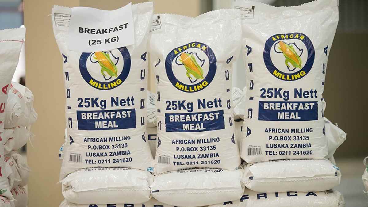 farine african milling