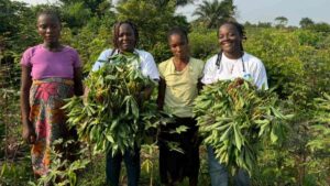 bassin du Congo together