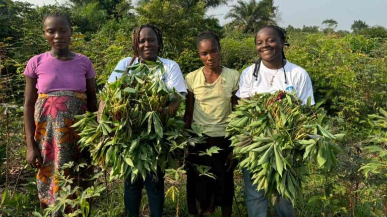 bassin du Congo together