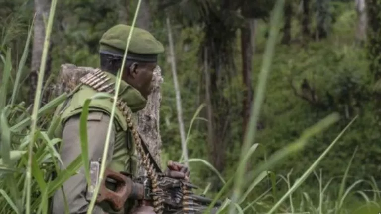 rdc_fardc_campagne_militaire_ituri_jpg_640_350_1