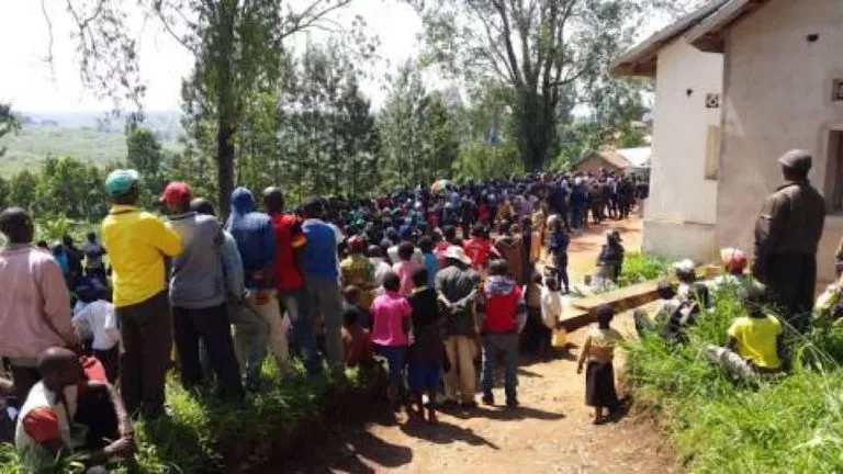 31B3F398 5F72 4F29 93CA 1DAA7D09921A