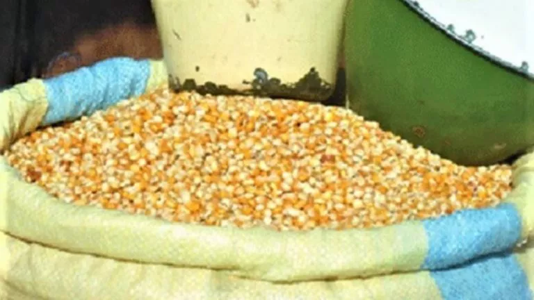 7272BE2B 0D87 43AB B4EB 646BD6A58006