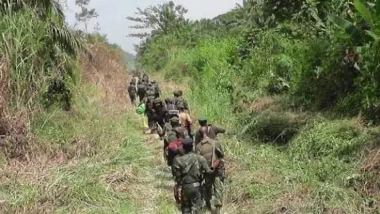 F39D2A90 A9B0 4333 874B D4E5246B14CD