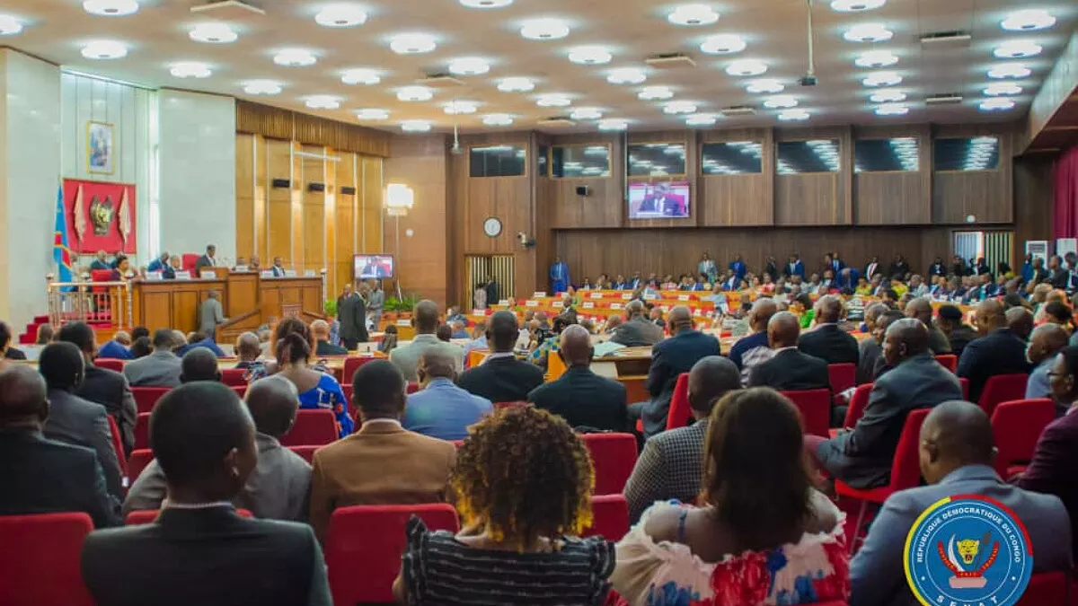 RDC : le budget de l’exercice 2020 déclaré recevable au Sénat