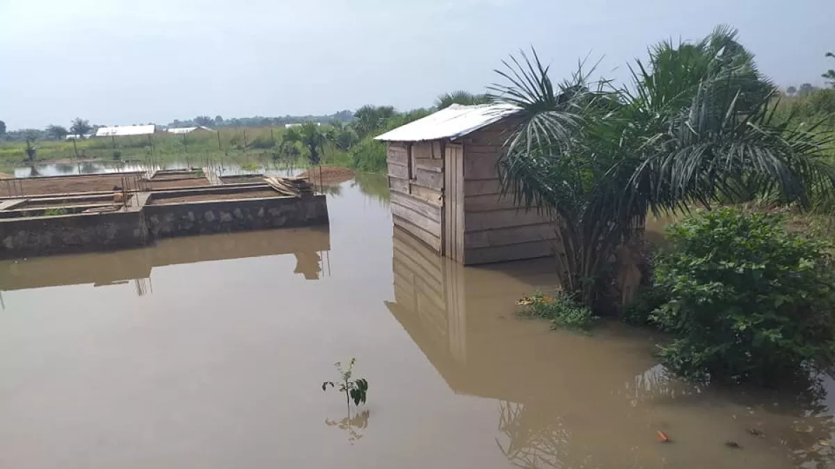 RDC – inondations : le gouvernement Américain va aligner 500 000 $ pour assister les populations victimes