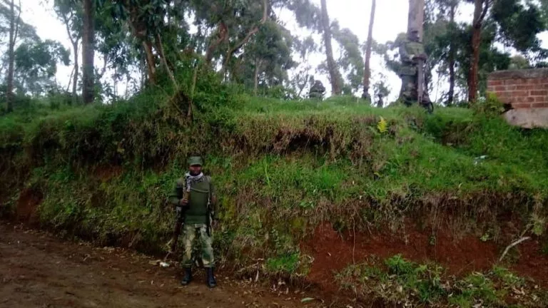 3C43A4FC 7C35 4692 9693 3E76A41550F5