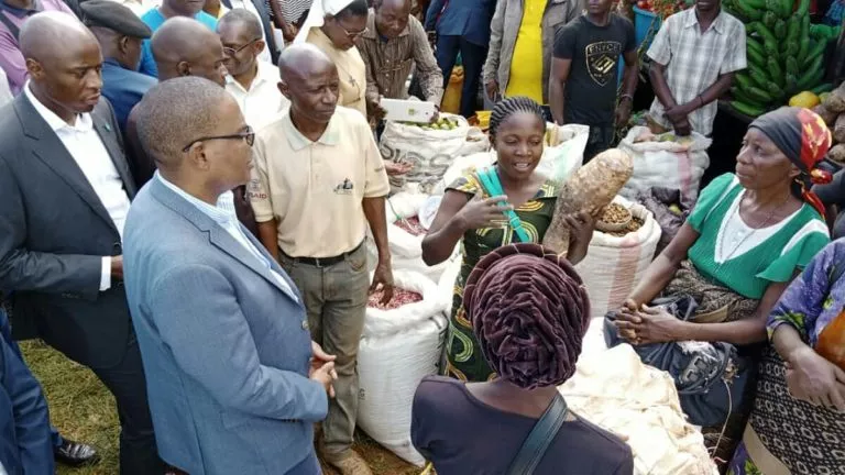 Les activités des 12emes journées champêtres dans la province du Sud-Kivu