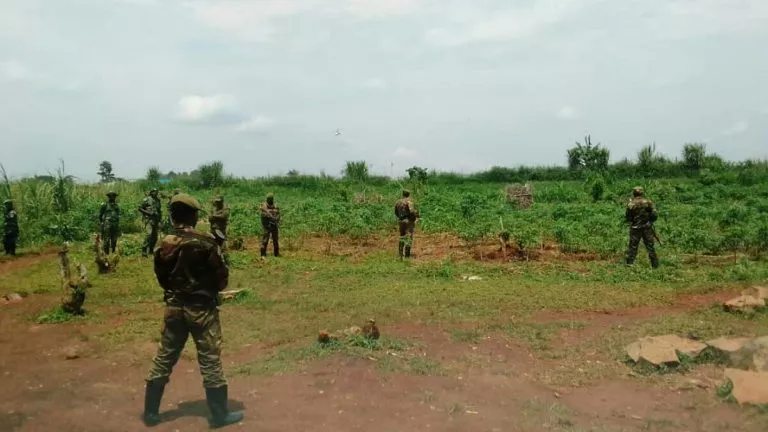 Beni la jeunesse alerte sur une nouvelle menace des ADF