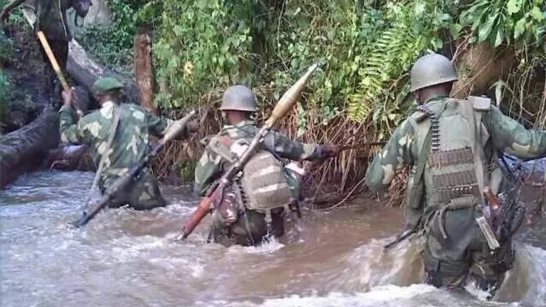 FARDC ADF Beni