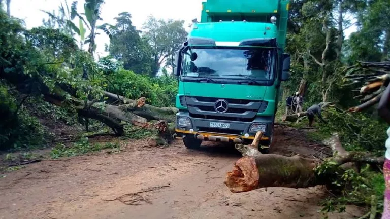 7E645239 72A4 453A 88F9 D942390E2A1E