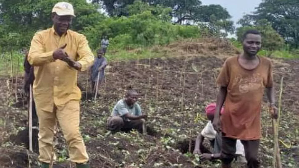Sud-Kivu – lutte contre le COVID-19 : le député Olive Mudekereza encourage l’utilisation du quinquina dans la production de la chloroquine