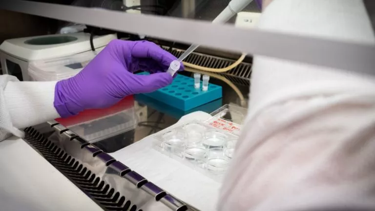 coronavirus covid-19 kinshasa