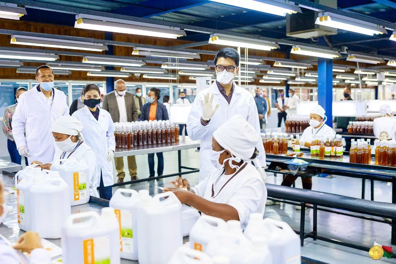 CVO ou Covid-Organics