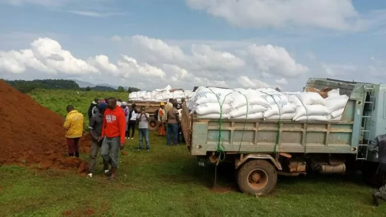 Butembo : 5 922 sacs de riz du PAM incinéré