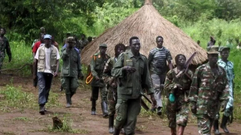 Adf Beni : une nouvelle attaque des hommes armés