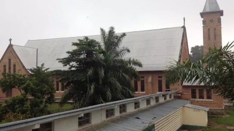 C901C6C3 9BFA 48A5 BCBA 9111ACF10D91