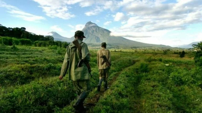 le conflit de délimitation du parc des Virunga à Rutshuru
