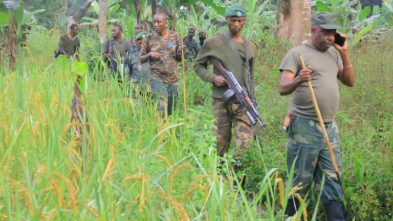 FARDC