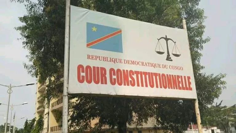 la cour constitutionnelle