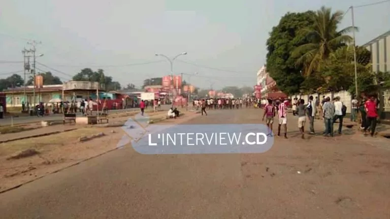 militants udps mbuyi mayi