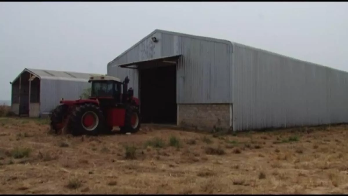 RDC-Relance du projet Bukangalonzo : “On va planter 1500 hectares, mais nous avions l’ambition d’y faire 4000”, (Ministre de l’Agriculture)