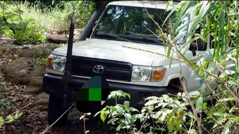 Toyota ong internationale