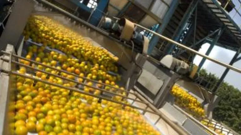 WhatsApp Image 2020 09 16 At 13.08.01