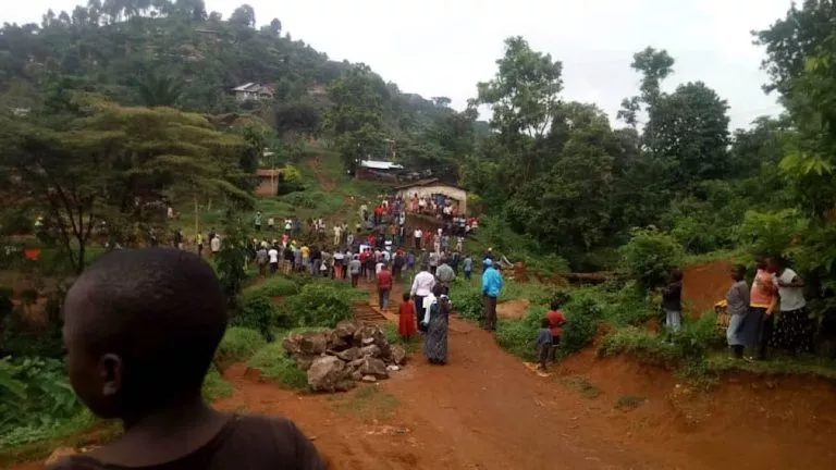 99BA2539 3A68 4AC0 88FC 76E3DFF37E99