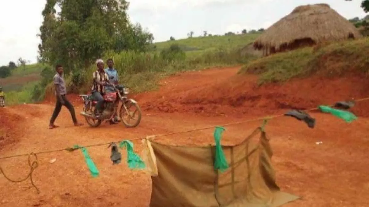 Rutshuru : un taximan et son client kidnappés par des inconnus armés en plein parc des Virunga