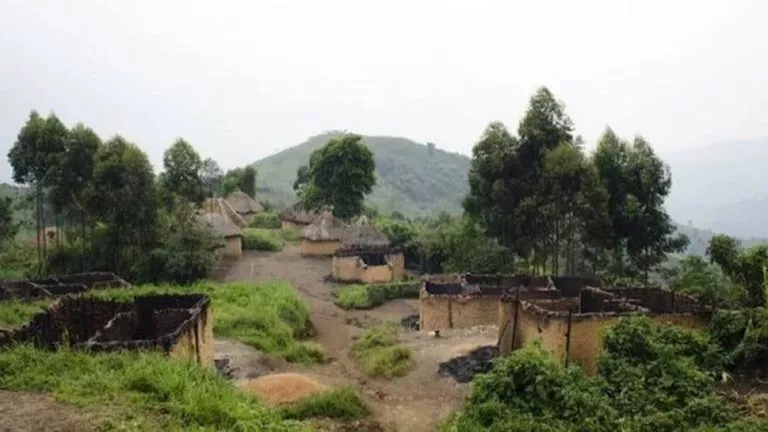 Biodiversité Nord Kivu