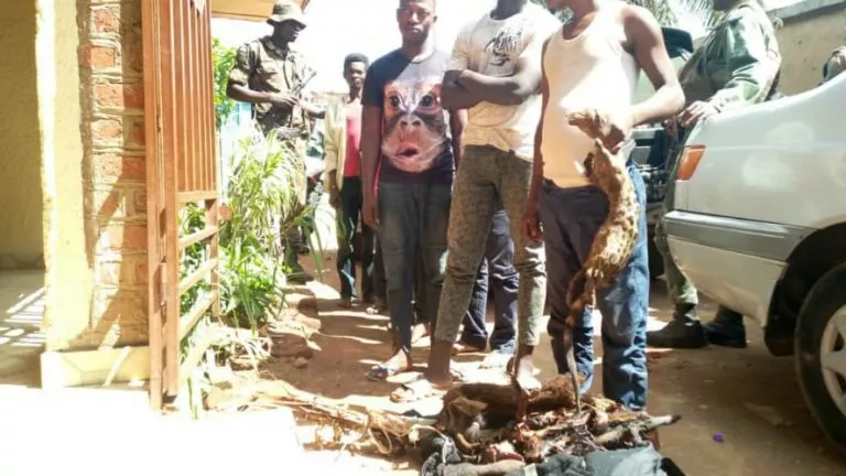 Un groupe des miliciens Maï-Maï dit « l'union fait la force »