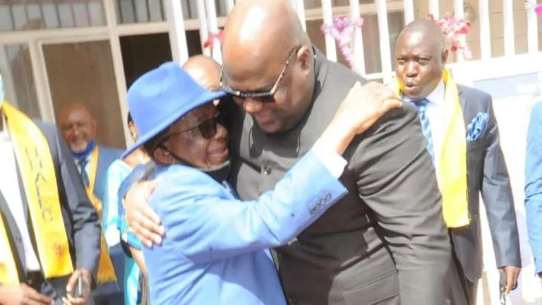 Gabriel Kyungu et Félix Tshisekedi