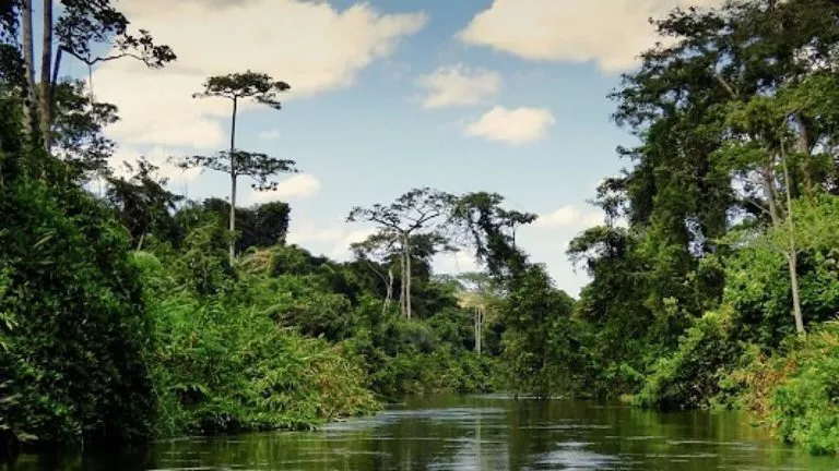 rdc parc des virunga kivu