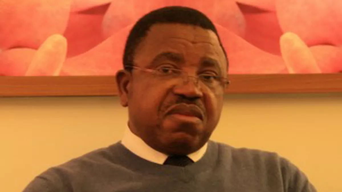RDC : suspendu par Ève Bazaïba, le DG de l’ICCN a démissionné
