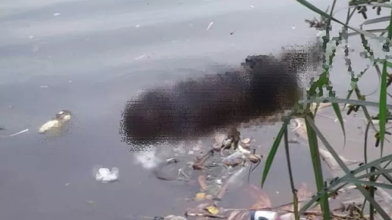 1508DB70 86A8 4C74 BE6E 061F22753602