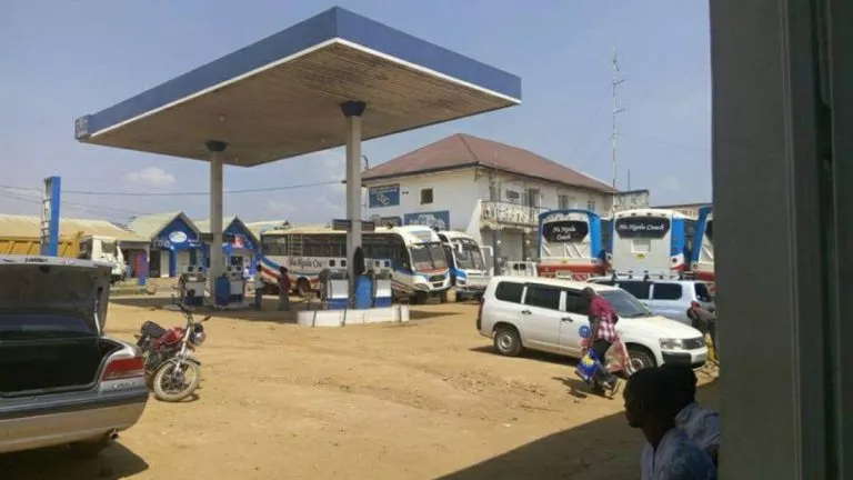 IMG 07122021 144849 1200 X 675 Pixel