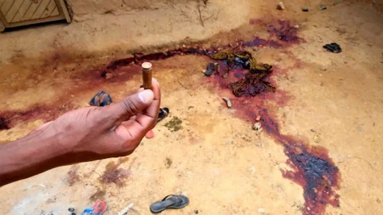 650405C6 9B14 4169 892F 4BC228ADBC32