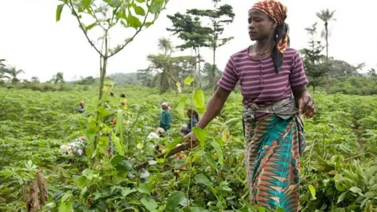 femmes agricultrices