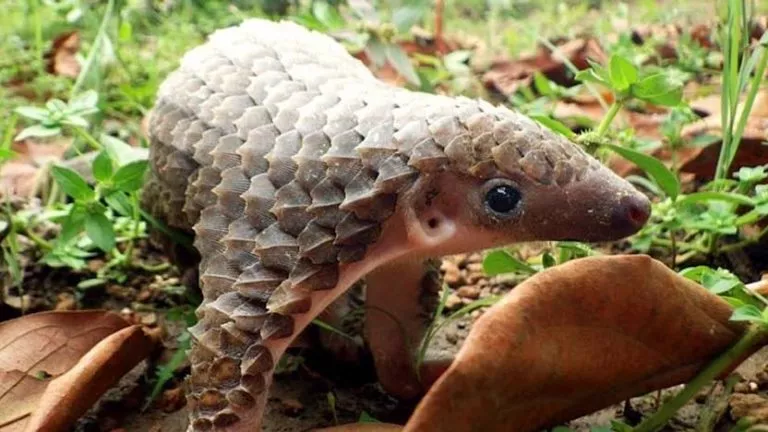 4478240C F22D 4537 BB85 C5956778C9AE