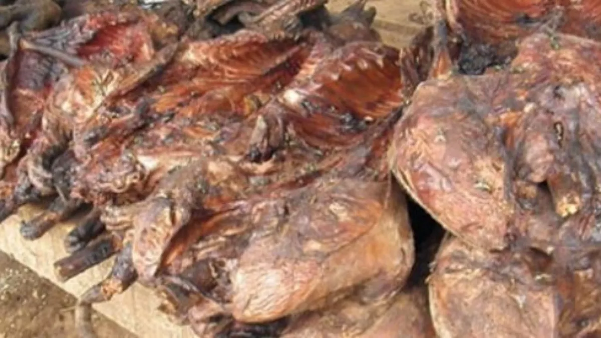 Beni : l’inspection de pêche et élevage interdit la commercialisation de la viande boucanée pour protéger la population aux maladies virales