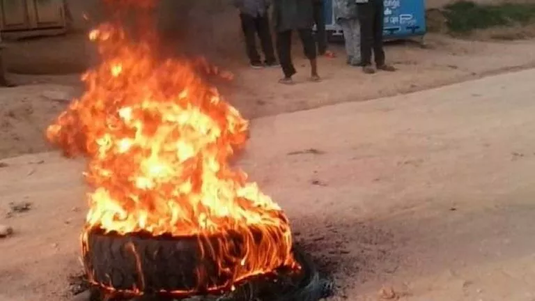 1F8E7B5C 1352 460D 95B2 0BAC17A605FB