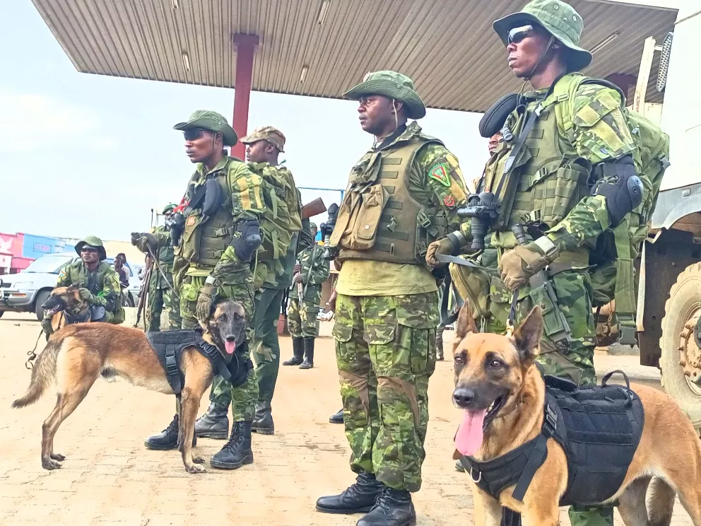 Nord – Kivu : Les FARDC lancent des patrouilles avec sa brigade canine “capables de détecter des engins explosifs improvisés”