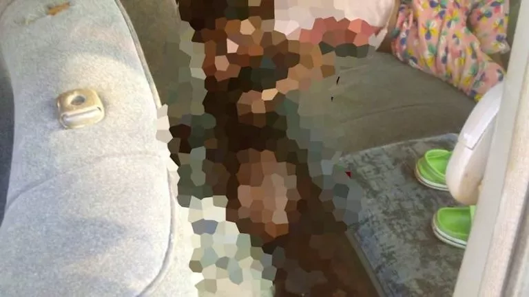 F4A501F2 0CFE 43ED B72E 47192280C258