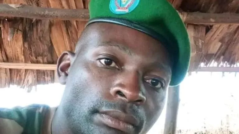 IMG 23062022 134633 1200 X 675 Pixel