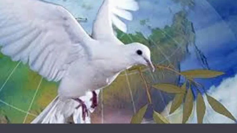 A43312B7 5A46 4E91 BB3F 370B4FE68BEC