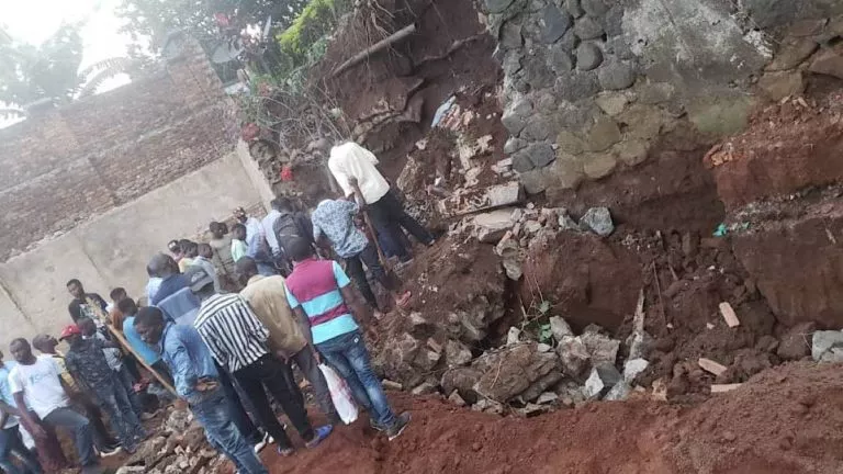 F42E9FB6 1157 441C 9698 155BDAFD1524